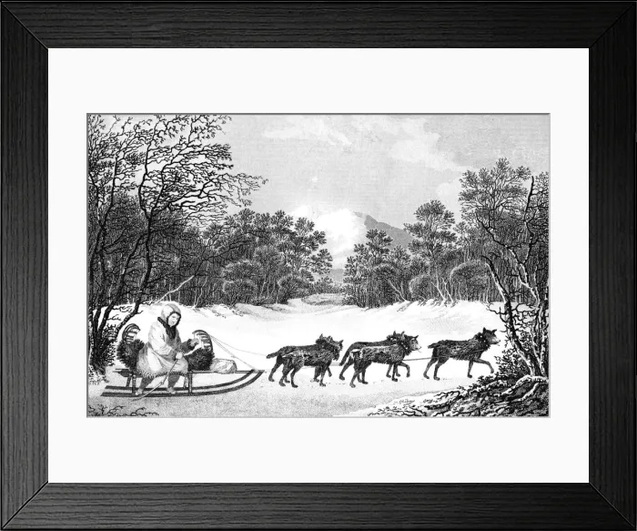 Framed Print : The Manner of Travelling in Winter in Kamtschatka, 19th century. Artist: Sparrow Framed Print : The Manner of Travelling in Winter in Kamtschatka, 19th century. Artist: Sparrow