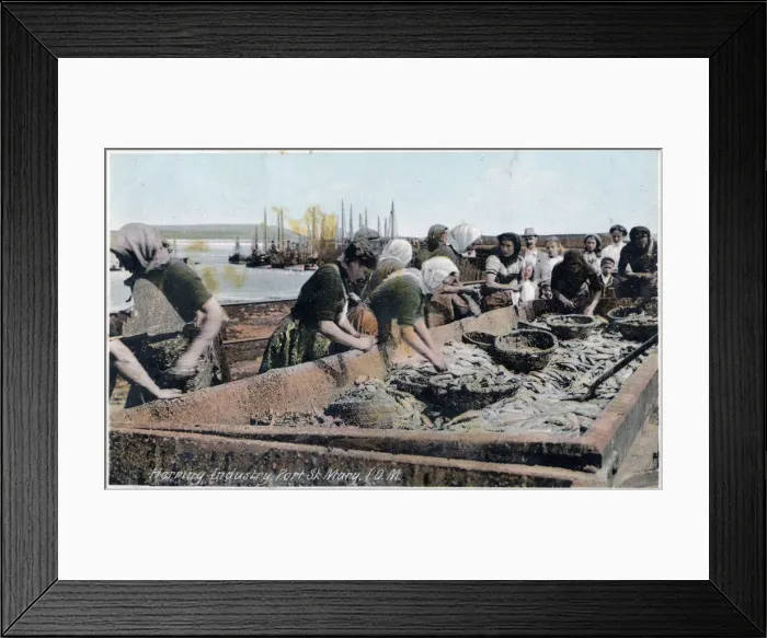Framed Print : Herring industry, Port St Mary, Isle of Man, 1920 Framed Print : Herring industry, Port St Mary, Isle of Man, 1920