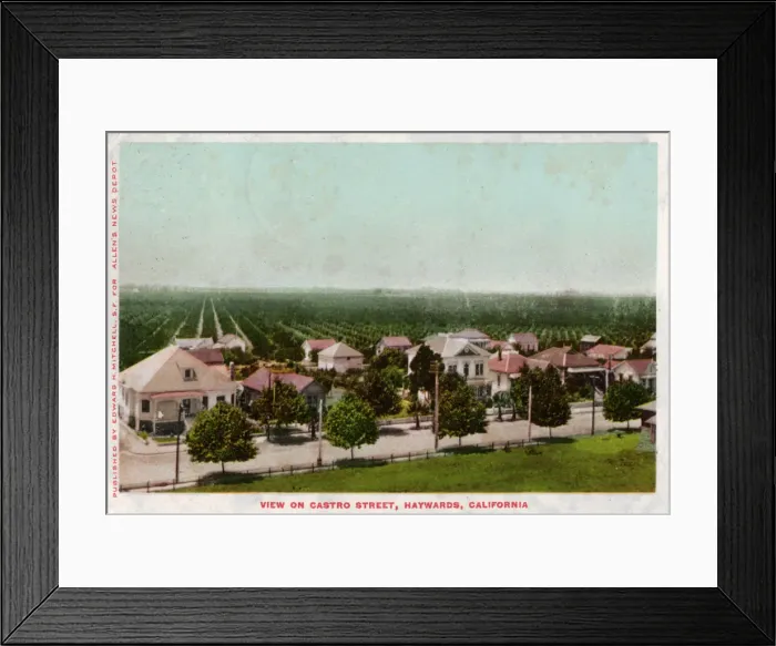 Framed Print : Castro Street, Hayward, California, 1905 Framed Print : Castro Street, Hayward, California, 1905