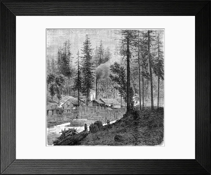 Framed Print : Sawmill, California, 19th century. Artist: Theroud Framed Print : Sawmill, California, 19th century. Artist: Theroud