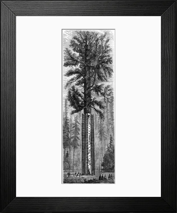 Framed Print : Yosemite National Park, California, 19th century. Artist: Paul Huet Framed Print : Yosemite National Park, California, 19th century. Artist: Paul Huet