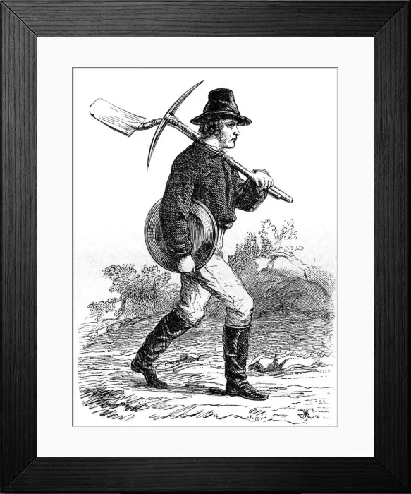Framed Print : Gold Miner, California, 19th century Framed Print : Gold Miner, California, 19th century