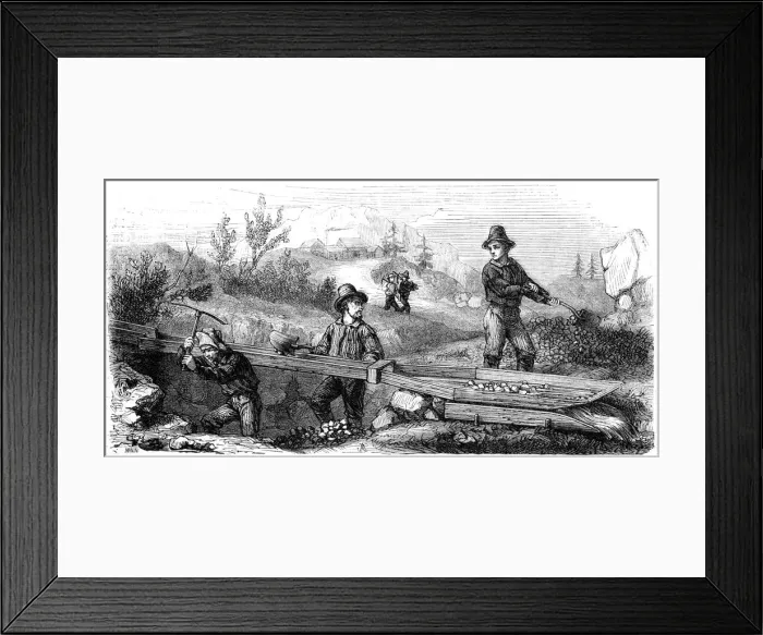 Framed Print : French miners working a long tom sluice, California, 19th century. Artist: Gustave Adolphe Chassevent-Bacques Framed Print : French miners working a long tom sluice, California, 19th century. Artist: Gustave Adolphe Chassevent-Bacques