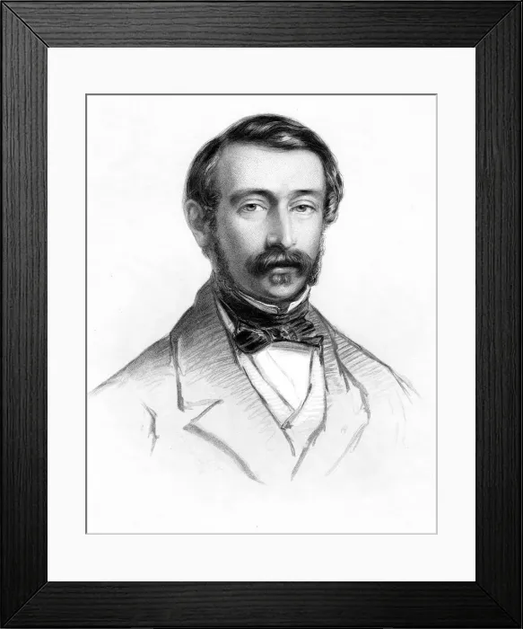 Framed Print : Napoleon III (1808-1873), Pesident of France, 19th century Framed Print : Napoleon III (1808-1873), Pesident of France, 19th century