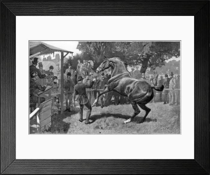 Framed Print : Sale of Hunters Raising and objection, 1885 Framed Print : Sale of Hunters Raising and objection, 1885