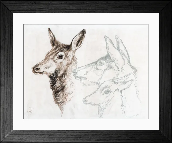 Framed Print : Facsimile of a drawing by Sir E Landseer, 1874. Artist: Edwin Henry Landseer Framed Print : Facsimile of a drawing by Sir E Landseer, 1874. Artist: Edwin Henry Landseer