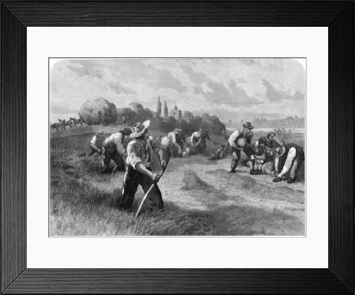 Framed Print : Haymaker, 1875. Artist: W Hollidge Framed Print : Haymaker, 1875. Artist: W Hollidge