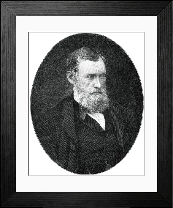 Framed Print : William Edward Forster, 19th century British industrialist and Liberal Party statesman, (1900). Artist: Russell & Sons Framed Print : William Edward Forster, 19th century British industrialist and Liberal Party statesman, (1900). Artist: Russell & Sons