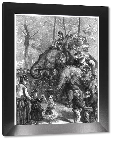 Monday afternoon at the zoological societys gardens, 1871. Artist: Charles Joseph Staniland