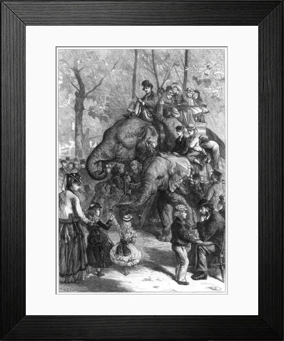 Framed Print : Monday afternoon at the zoological societys gardens, 1871. Artist: Charles Joseph Staniland Framed Print : Monday afternoon at the zoological societys gardens, 1871. Artist: Charles Joseph Staniland