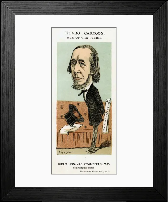 Framed Print : James Stansfeld, British politician, c1871-1874. Artist: Faustin Framed Print : James Stansfeld, British politician, c1871-1874. Artist: Faustin