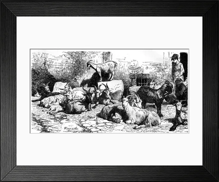 Framed Print : Goats of the Roman countryside, Italy, 19th century. Artist: J Cauchard Framed Print : Goats of the Roman countryside, Italy, 19th century. Artist: J Cauchard