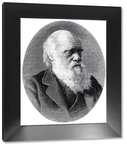 Charles Darwin, 19th century English naturalist, (1900). Artist: Elliott & Fry