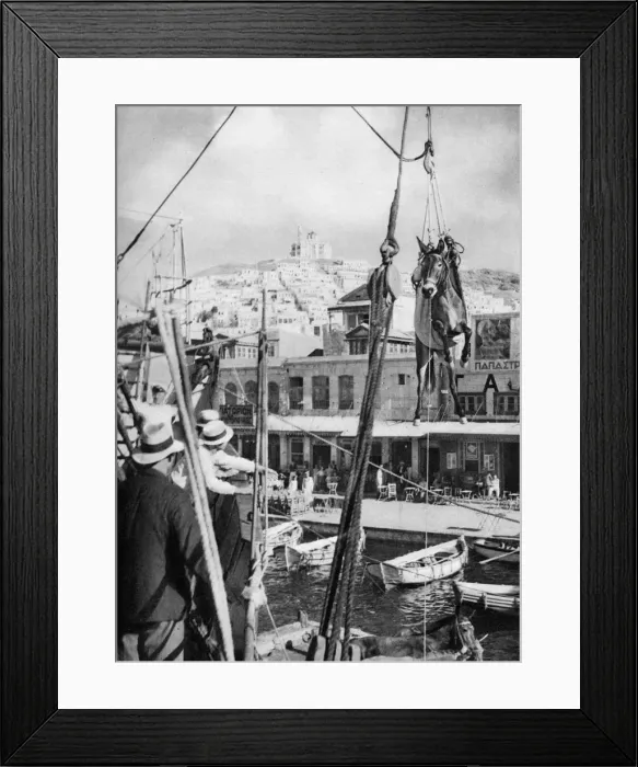 Framed Print : The shipping of mules, Syros Island, Greece, 1937. Artist: Martin Hurlimann Framed Print : The shipping of mules, Syros Island, Greece, 1937. Artist: Martin Hurlimann