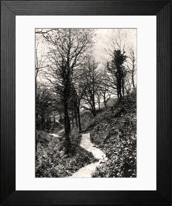 Framed Print : Lovers Lane, Fairlight, Hastings, Sussex Framed Print : Lovers Lane, Fairlight, Hastings, Sussex