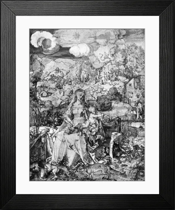 Framed Print : The Virgin and many animals, 1505, (1936). Artist: Albrecht Durer Framed Print : The Virgin and many animals, 1505, (1936). Artist: Albrecht Durer