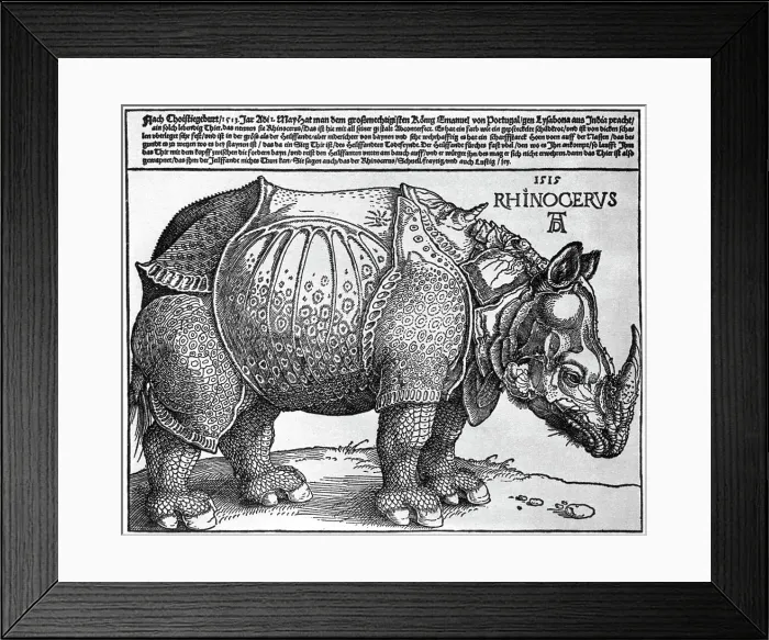 Framed Print : Rhinoceros, print given to Maximilian I by the King of Lisbon, 1515, (1936). Artist: Albrecht Durer Framed Print : Rhinoceros, print given to Maximilian I by the King of Lisbon, 1515, (1936). Artist: Albrecht Durer