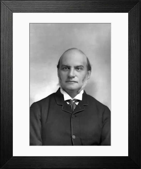 Framed Print : Farrer Herschell (1837-1899), 1st Baron Herschell, 1890. Artist: W&D Downey Framed Print : Farrer Herschell (1837-1899), 1st Baron Herschell, 1890. Artist: W&D Downey