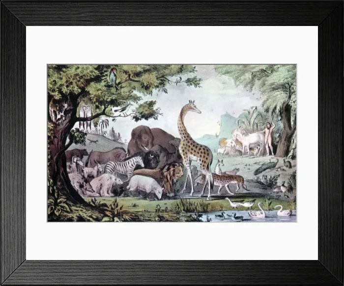 Framed Print : Adam Naming the Creatures, 1847. Artist: Nathaniel Currier Framed Print : Adam Naming the Creatures, 1847. Artist: Nathaniel Currier