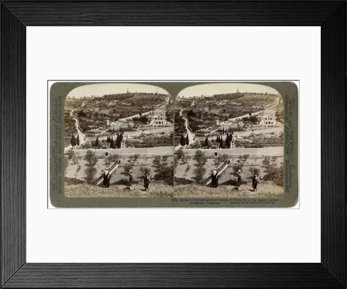 Framed Print : The Garden of Gethsemane and the Mount of Olives, Palestine, 1908. Artist: Underwood & Underwood Framed Print : The Garden of Gethsemane and the Mount of Olives, Palestine, 1908. Artist: Underwood & Underwood