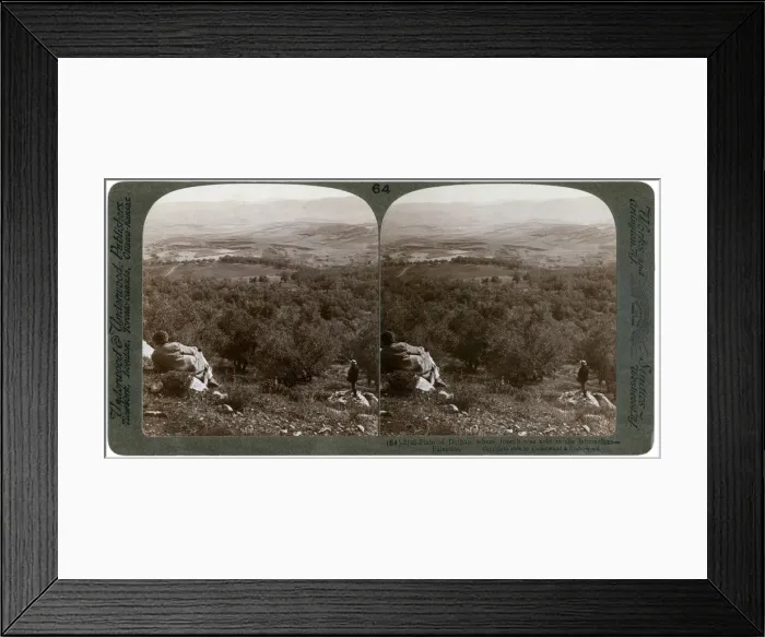 Framed Print : The plain of Dothan, Palestine, 1900. Artist: Underwood & Underwood Framed Print : The plain of Dothan, Palestine, 1900. Artist: Underwood & Underwood