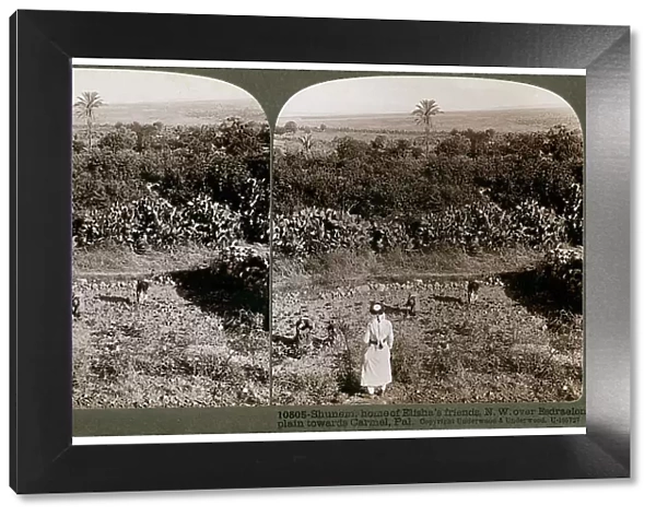 The north-west view from Shunem, across the Plain of Esdraelon, towards Carmel, 1900s. Artist: Underwood & Underwood