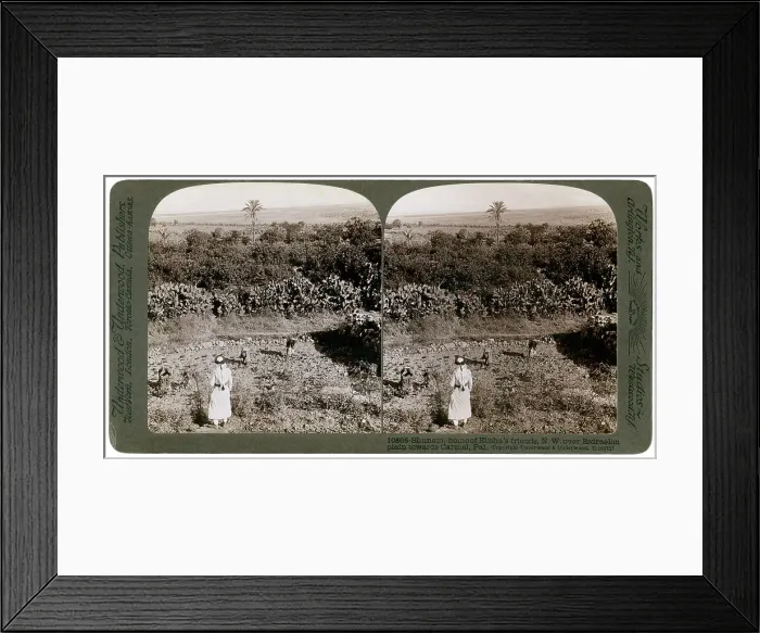 Framed Print : The north-west view from Shunem, across the Plain of Esdraelon, towards Carmel, 1900s. Artist: Underwood & Underwood Framed Print : The north-west view from Shunem, across the Plain of Esdraelon, towards Carmel, 1900s. Artist: Underwood & Underwood