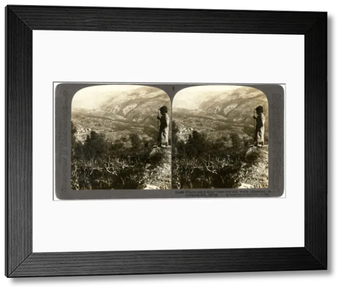 Framed Print : A silkworm plantation in the Lebanon mountains, Syria, 1900s. Artist: Underwood & Underwood Framed Print : A silkworm plantation in the Lebanon mountains, Syria, 1900s. Artist: Underwood & Underwood