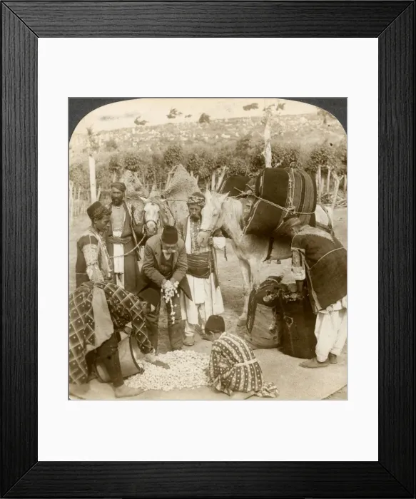 Framed Print : Experts purchasing silk cocoons, for export to France, Antioch, Syria, 1900s. Artist: Underwood & Underwood Framed Print : Experts purchasing silk cocoons, for export to France, Antioch, Syria, 1900s. Artist: Underwood & Underwood
