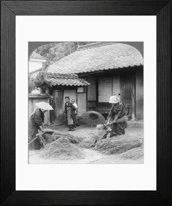 Framed Print : Farmers wives at work, Iwakuni, Japan, 1904. Artist: Underwood & Underwood Framed Print : Farmers wives at work, Iwakuni, Japan, 1904. Artist: Underwood & Underwood