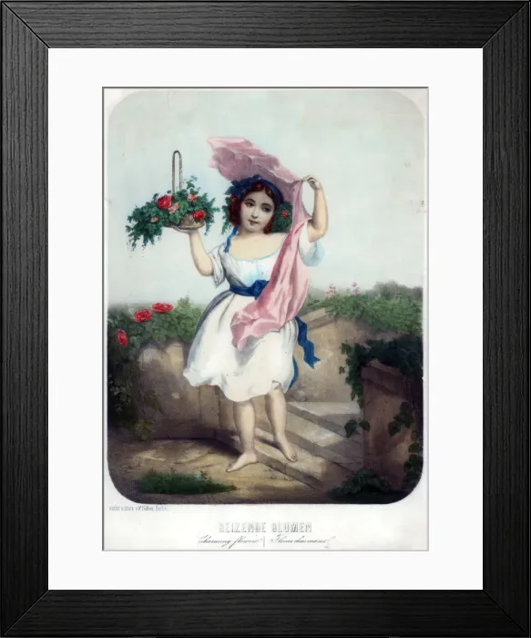 Framed Print : Charming flowers, c19th century. Artist: F Silber