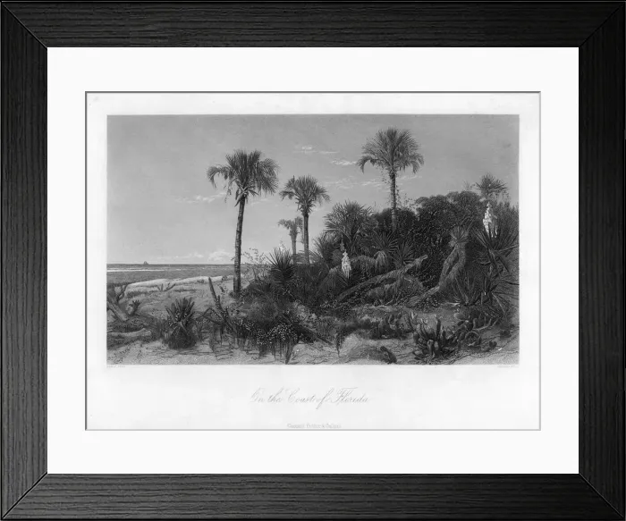 Framed Print : On the coast of Florida. Artist: R Hinshelwood Framed Print : On the coast of Florida. Artist: R Hinshelwood