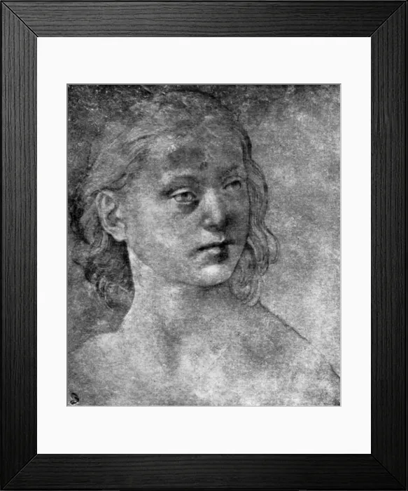 Framed Print : The head of a young woman, 15th or 16th century (1930). Artist: Lorenzo di Credi Framed Print : The head of a young woman, 15th or 16th century (1930). Artist: Lorenzo di Credi