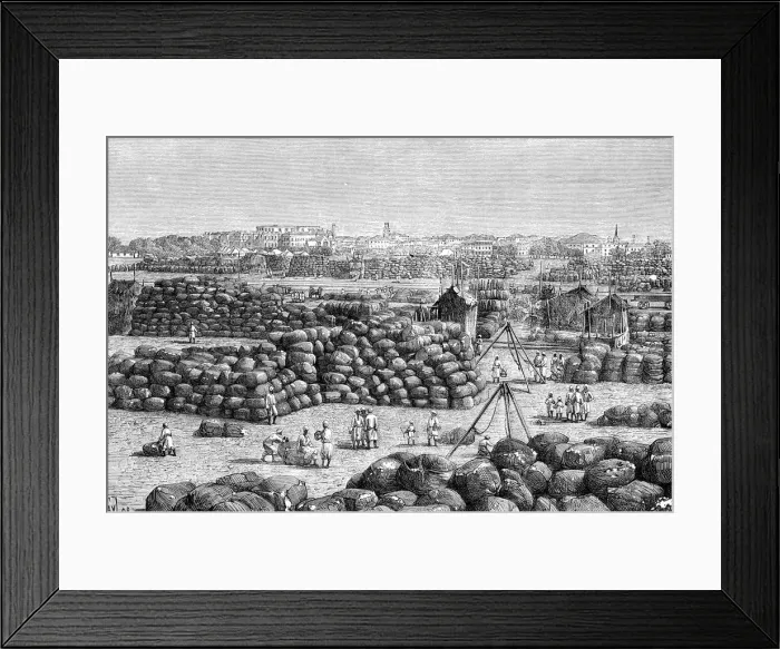 Framed Print : The cotton market at Bombay, India, 1895 Framed Print : The cotton market at Bombay, India, 1895