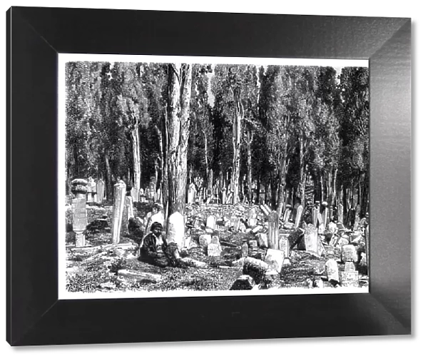 Cypress trees in the cemetery of Scutari, Turkey, 1895