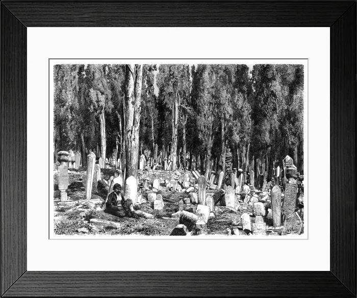 Framed Print : Cypress trees in the cemetery of Scutari, Turkey, 1895 Framed Print : Cypress trees in the cemetery of Scutari, Turkey, 1895