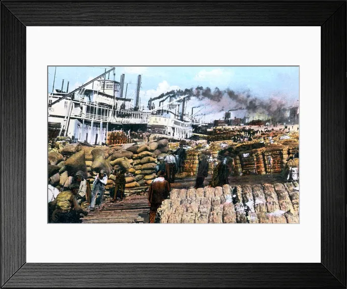 Framed Print : Loading cotton onto a ship, Memphis, Tennessee, USA, c1900s Framed Print : Loading cotton onto a ship, Memphis, Tennessee, USA, c1900s