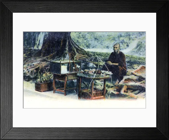 Framed Print : A man selling fruit under a tree, Hong Kong, China, c1900s Framed Print : A man selling fruit under a tree, Hong Kong, China, c1900s