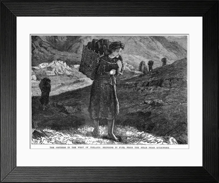 Framed Print : The Distress in the West Ireland: Bringing in Fuel from the Hills near Kylemore, 19th century Framed Print : The Distress in the West Ireland: Bringing in Fuel from the Hills near Kylemore, 19th century