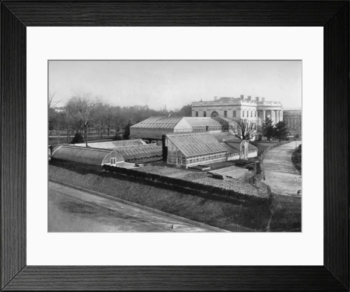 Framed Print : The White House and greenhouses, Washington DC, USA, 1908 Framed Print : The White House and greenhouses, Washington DC, USA, 1908