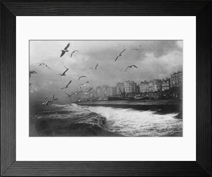 Framed Print : Gulls at Brighton, East Sussex, early 20th century Framed Print : Gulls at Brighton, East Sussex, early 20th century
