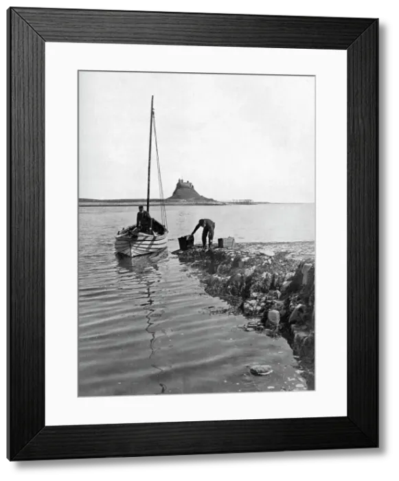 Framed Print : Holy Island, Northumberland, 1924-1926. Artist: Alfred Hind Robinson Framed Print : Holy Island, Northumberland, 1924-1926. Artist: Alfred Hind Robinson