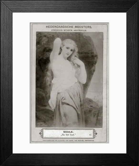 Framed Print : Merle, c19th century Framed Print : Merle, c19th century