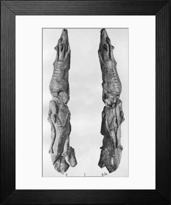 Framed Print : Point of mammoth tusk carved with reindeer, from Montastruc, Bruniquel, France, 1926 Framed Print : Point of mammoth tusk carved with reindeer, from Montastruc, Bruniquel, France, 1926