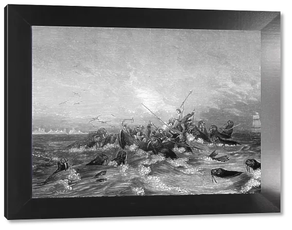 Walrus hunting, 19th century. Artist: Pearson