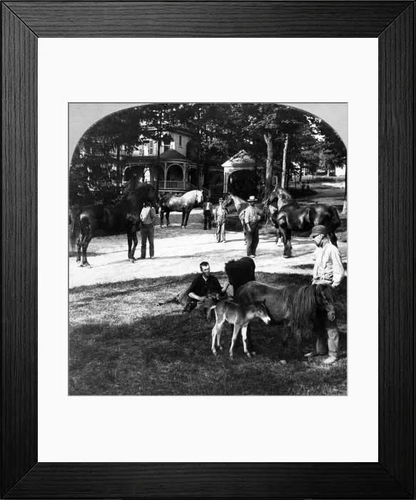 Framed Print : All Sorts and Sizes. Artist: The Fine Art Photographers Co Framed Print : All Sorts and Sizes. Artist: The Fine Art Photographers Co