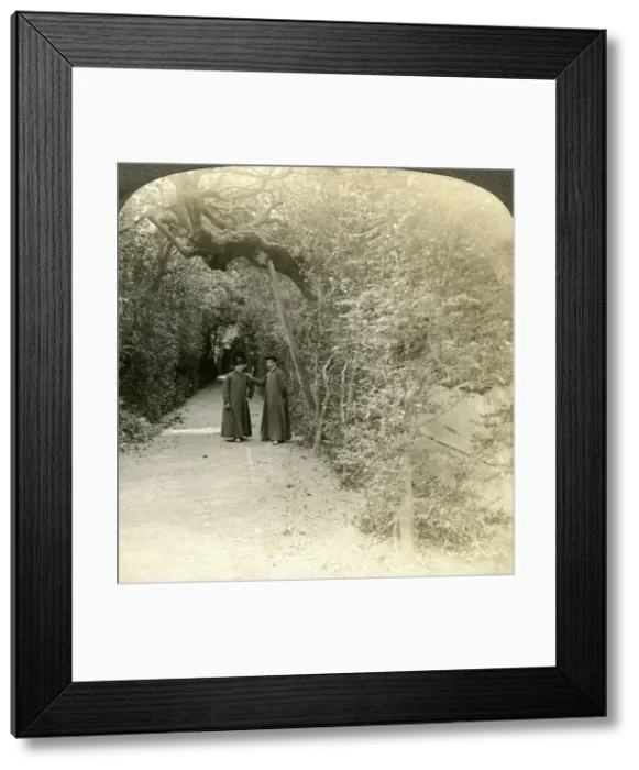 Framed Print : Bower of St Anthony, Vatican Gardens, Rome, Italy. Artist: Underwood & Underwood Framed Print : Bower of St Anthony, Vatican Gardens, Rome, Italy. Artist: Underwood & Underwood