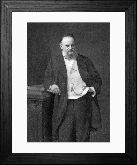 Framed Print : Aristide Boucicaut, French retailer, 1874 Framed Print : Aristide Boucicaut, French retailer, 1874