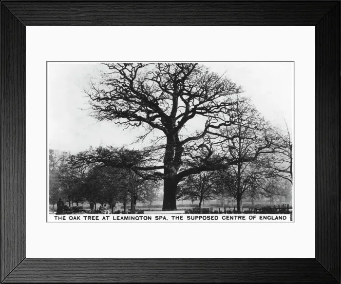 Framed Print : The oak at Leamington Spa, the supposed centre of England, 1936 Framed Print : The oak at Leamington Spa, the supposed centre of England, 1936