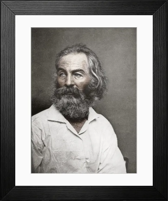Framed Print : Walt Whitman, American poet, c1880s. Artist: Mathew Brady Framed Print : Walt Whitman, American poet, c1880s. Artist: Mathew Brady